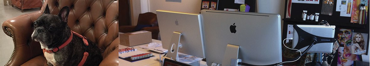 The studio